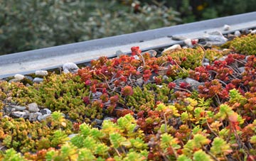 the cost of Billy green roof installation